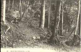 Chateau Chillon Chillon  Ungelaufen Ca. 1910 - Altri & Non Classificati