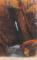 29-LA POINTE DU RAZ-N°4466-D/0253 - La Pointe Du Raz