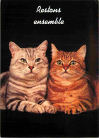 Animaux - Chats - Carte à Message - CPM - Voir Scans Recto-Verso - Cats