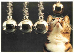 Animaux - Chats - CPM - Voir Scans Recto-Verso - Cats