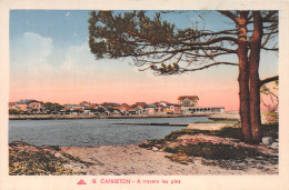 40-CAPBRETON-N°4467-H/0171 - Capbreton