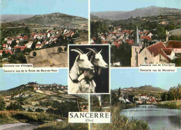 18 - Sancerre - Multivues - Chèvres - Mention Photographie Véritable - Carte Dentelée - CPSM Grand Format - Voir Scans R - Sancerre