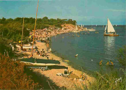 17 - Ile De Ré - Les Portes En Ré - Plage De Trousse Chemise Et Son Bois - Scènes De Plage - CPM - Voir Scans Recto-Vers - Ile De Ré