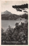 74-DUINGT LE CHATEAU -N°C-4324-C/0173 - Duingt