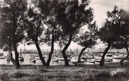 17-ILE D OLERON LA COTINIERE-N°C-4324-A/0031 - Ile D'Oléron