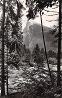 74-SAMOENS-N°C-4324-D/0045 - Samoëns