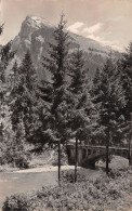 74-SAMOENS-N°C-4324-D/0031 - Samoëns