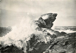 56 - Presqu'Ile De Quiberon - La Côte Sauvage - CPSM Grand Format - Voir Scans Recto-Verso - Quiberon