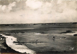 22 - Pointe De L'Arcouest - Vue Aérienne - CPSM Grand Format - Voir Scans Recto-Verso - Sonstige & Ohne Zuordnung
