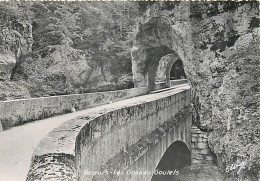 26 - Drome - Vercors - Les Grands Goulets - Carte Dentelée - CPSM Grand Format - Carte Neuve - Voir Scans Recto-Verso - Les Grands Goulets