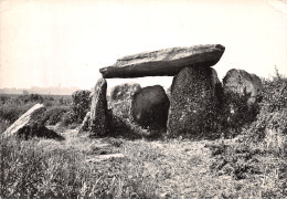 56-QUIBERON-N°C-4325-C/0219 - Quiberon
