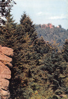 67-MONT SAINTE ODILE-N°C-4325-A/0137 - Sonstige & Ohne Zuordnung