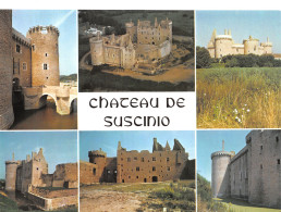 56-SARZEAU-N°C-4326-D/0081 - Sarzeau