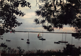 17-ILE DE RE-N°C-4327-D/0073 - Ile De Ré