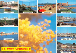 66-COTE VERMEILLE-N°C-4327-B/0371 - Sonstige & Ohne Zuordnung
