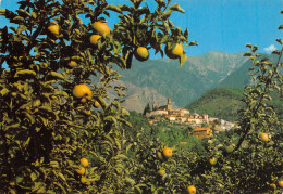 66-VERNET LES BAINS-N°C-4328-A/0085 - Sonstige & Ohne Zuordnung