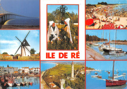 17-ILE DE RE-N°C-4328-A/0047 - Ile De Ré