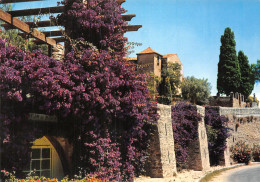 83-BORMES LES MIMOSAS-N°C-4329-A/0179 - Bormes-les-Mimosas