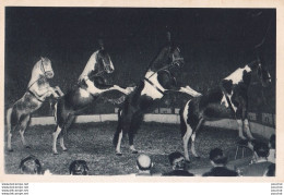 A8- CIRQUE - LA PYRAMIDE A QUATRE CHEVAUX  PRESENTE PAR LE MAITRE ECUYER AL. GRUSS - ( 2 SCANS ) - Zirkus