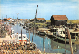17-ILE D OLERON-N°C-4330-C/0145 - Ile D'Oléron