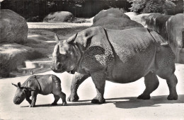 ET-BERLIN ZOOLOGISCHER GARTEN BASEL-N°4472-D/0103 - Sonstige & Ohne Zuordnung