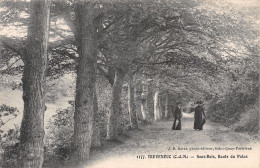 22-TREVENEUC-N°4472-F/0247 - Sonstige & Ohne Zuordnung