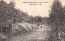 22-SABLES D OR LES PINS-N°4472-E/0391 - Sonstige & Ohne Zuordnung