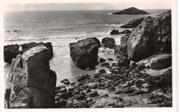 56-QUIBERON-N°4473-B/0263 - Quiberon