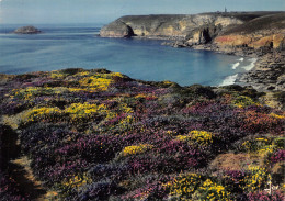 22-LE CAP FREHEL-N°C-4333-C/0051 - Sonstige & Ohne Zuordnung