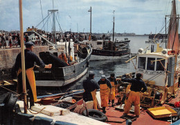 56-QUIBERON-N°C-4333-D/0345 - Quiberon