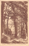 22-SABLES D OR LES PINS-N°4474-D/0085 - Sonstige & Ohne Zuordnung