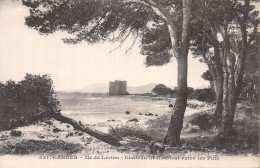 06-CANNES-N°4474-D/0043 - Cannes