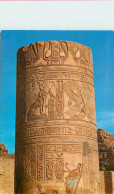CPM Kom Ombo Details Of A Column From The Kom Ombo Temple - Sonstige & Ohne Zuordnung