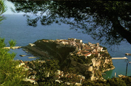 CPM Principaute De Monaco Le Rocher Du Grimaldi - Sonstige & Ohne Zuordnung