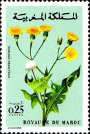 Maroc Poste N** Yv: 648/649 Fleurs - Altri & Non Classificati
