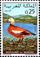 Maroc Poste N** Yv: 606/607 Oiseaux - Autres & Non Classés