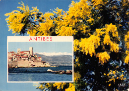 06-ANTIBES-N°C-4336-D/0149 - Sonstige & Ohne Zuordnung