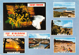 17-ILE D OLERON SAINT TROJAN-N°C-4336-B/0171 - Ile D'Oléron