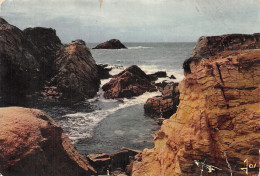 56-QUIBERON-N°C-4337-B/0279 - Quiberon