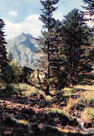 63-LE SANCY-N°C-4337-A/0103 - Sonstige & Ohne Zuordnung
