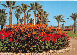 06-CANNES-N°C-4337-D/0321 - Cannes