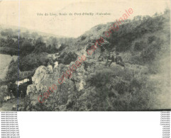 14.  Tête Du Lion . Route De Pont D'Ouilly . - Sonstige & Ohne Zuordnung