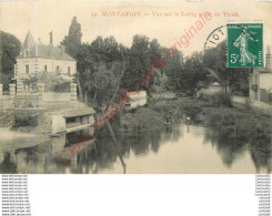 45.  MONTARGIS .  Vue Sur Le Loing Prise De Tivoli . - Montargis