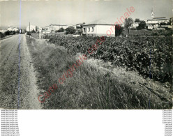 07.  SAINT ANDRE DE CRUZIERES .  Entrée Du Village . - Sonstige & Ohne Zuordnung