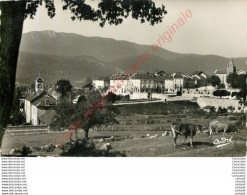 07.  LA CHAPELLE EN VERCORS .  Vue Générale . - Sonstige & Ohne Zuordnung