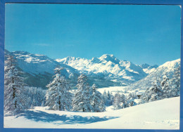 Schweiz; Das Oberengadin Bei St. Moritz - Suvretta - St. Moritz