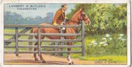 32 - HORSEMANSHIP 1938 - Lambert & Butler Card   -  3X7CMS - - Andere Merken