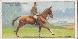 17 THE CANTER - HORSEMANSHIP 1938 - Lambert & Butler Card   -  3X7CMS - - Andere Merken