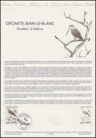 Collection Historique: Schlangenadler / Circaetus Gallicus 22.9.1984 - Autres & Non Classés