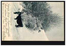 Foto-AK Ländliches Idyll: Bauer Mit Kuh Im Winter, HEIDEN 31.12.1904 - Sonstige & Ohne Zuordnung